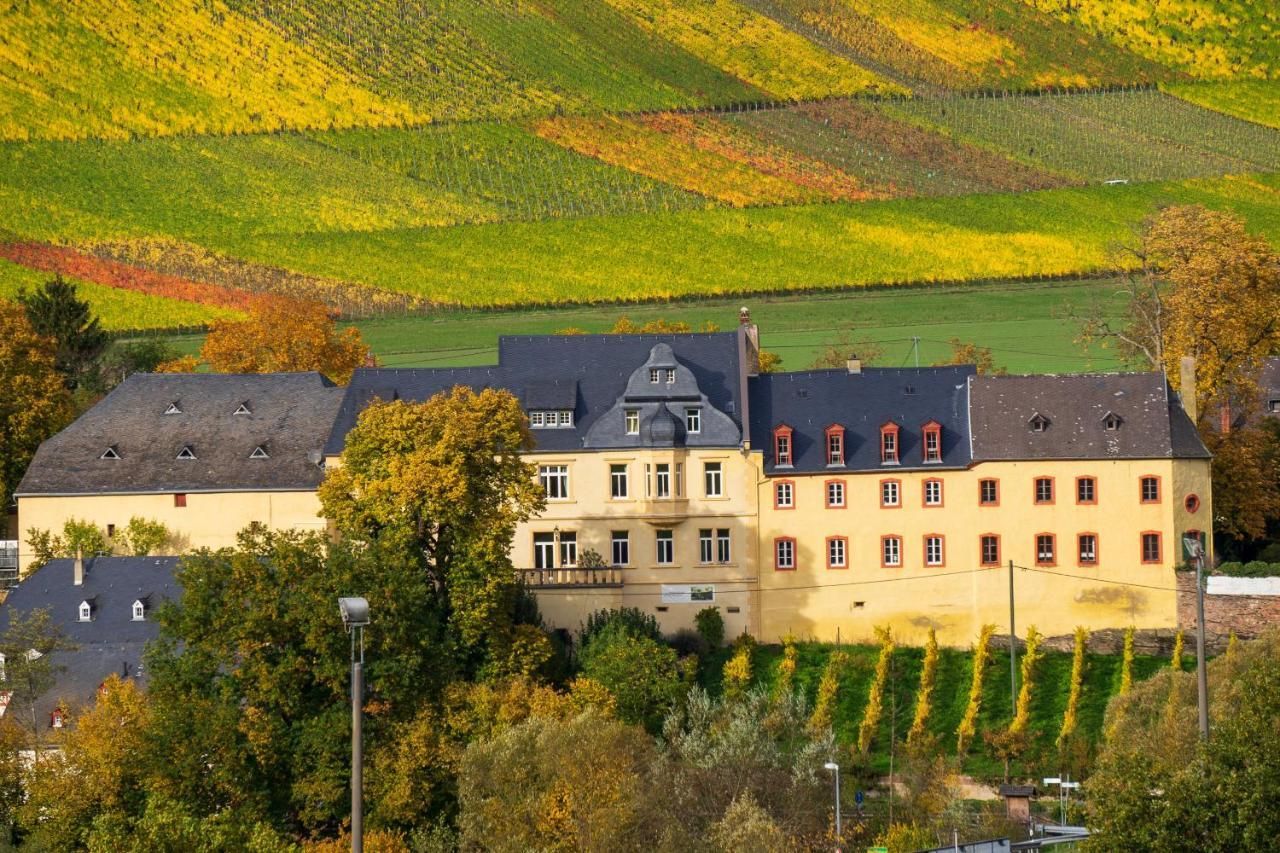 Schwalbennest Auf Dem Weingut Arthur Melsheimer Maring-Noviand Exterior foto